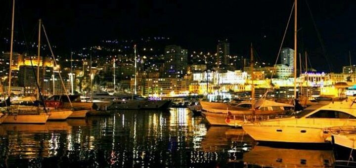 Monaco consultants
