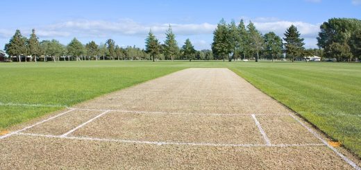 cricket-pitch